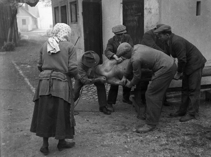 Koline pri Nagličevih, 1936 - F_1936_5_3_015