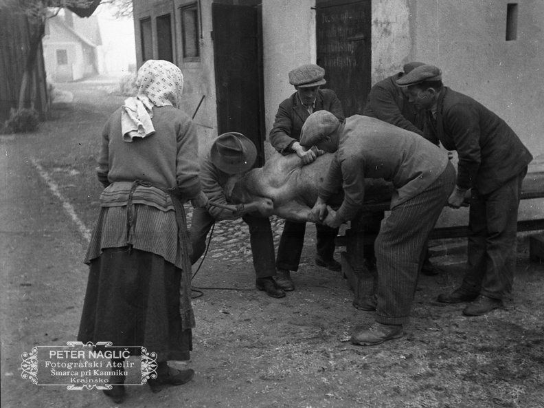 Koline pri Nagličevih, 1936 - F_1936_5_3_015