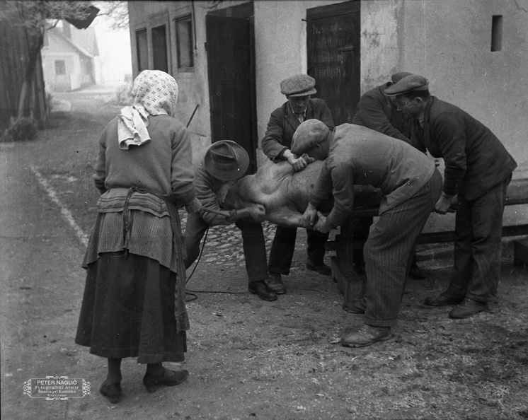 F_1936_5_3_015 - Gospodarstvo na deželi - koline pri Nagličevih leta 1936.jpg