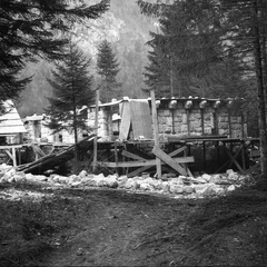Gradnja kraljevega dvorca v Kamniški Bistrici leta 1933 - F 1933 3 17 012 