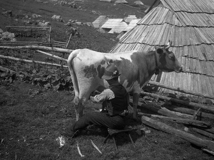 Pastir na Veliki Planini leta 1932 - F 1932 2 3 005