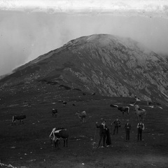 Veliki Zvoh leta 1913 - naglic872