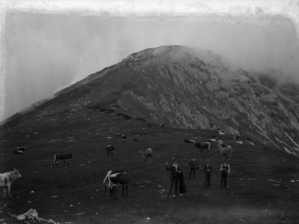 Veliki Zvoh leta 1913 - naglic872