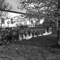 Šeskov mlin  leta 1932 - F 1932 3 11 012