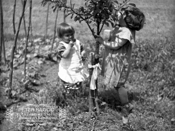 Obiranje češenj leta 1936 - F 1936 2 13 005