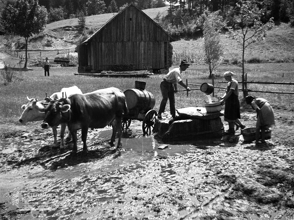 Črpanje vode pod sv. Gregorjem pri Laščah leta 1933 - F 1933 3 8 009