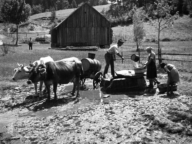 Črpanje vode pod sv. Gregorjem pri Laščah leta 1933 - F 1933 3 8 009