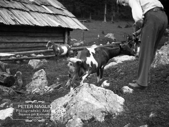 Igra s kozličkom ob koči na severni strani Kamniškega gorovja leta 1932 - F 1932 1 7 011