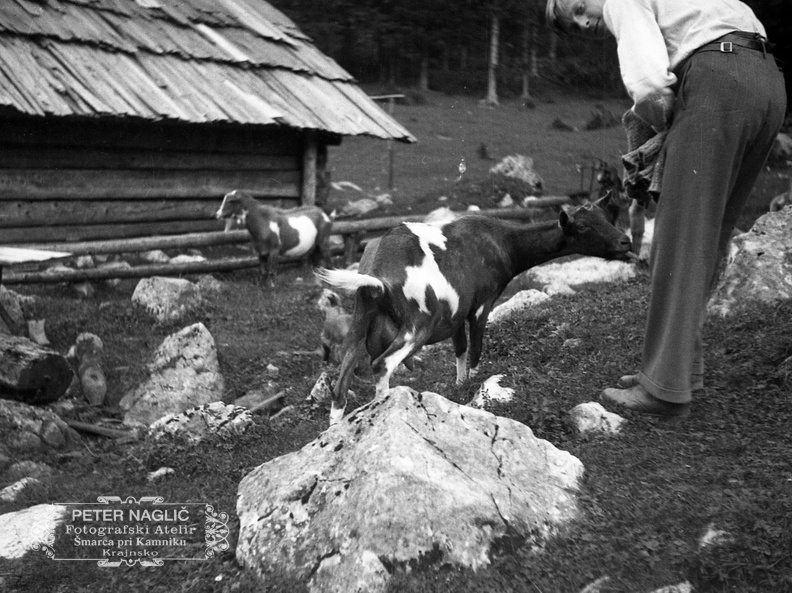 Igra s kozličkom ob koči na severni strani Kamniškega gorovja leta 1932 - F 1932 1 7 011
