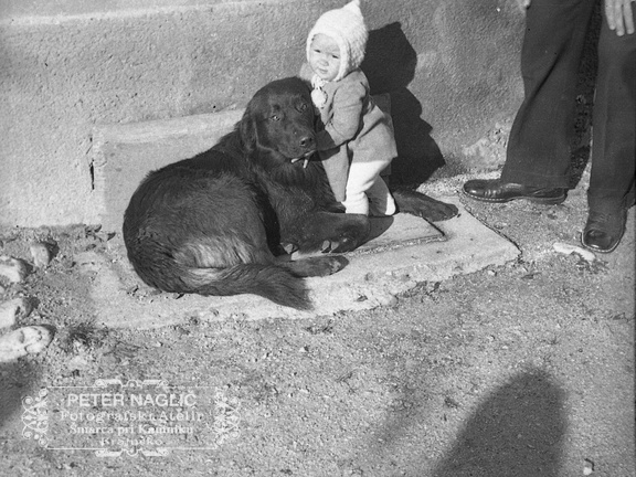 Igra s psom pri Mirku Jermanu leta 1939 - F 1939 1 33 017