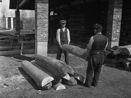 Razvrščanje hlodovnih polovic leta 1932 - F 1932 4 9 002