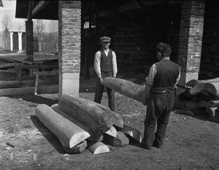 Razvrščanje hlodovnih polovic leta 1932 - F_1932_4_9_002.jpg