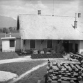 Sušenje žime in hlodovine na tovarniškem dvorišču leta 1939 - F 1939 1 3 011