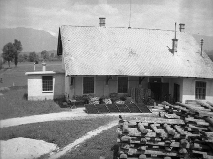 Sušenje žime in hlodovine na tovarniškem dvorišču leta 1939 - F 1939 1 3 011