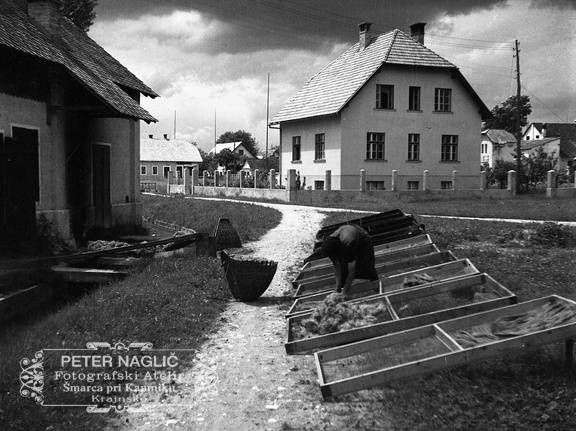 Sušenje žime na tovarniškem dvorišču leta 1933 - F 1933 4 5 002