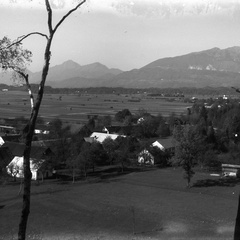 Pogled s Homškega hriba proti Nožicam, leta 1930 - Naglic RA 662