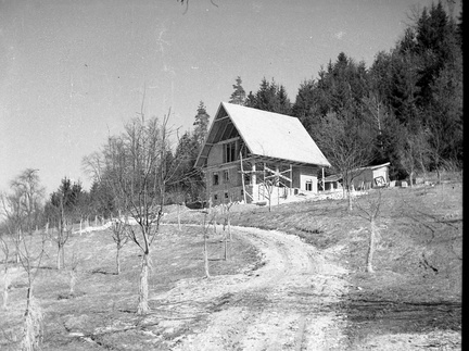 Pod Homškim hribom - Naglic RA 55 30 3826