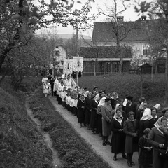 Procesija Marije pomagaj v Šentvidu pri Lukovici - F 1940 1 7 012