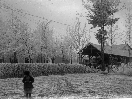 Šupa za les pozimi v ivju - Naglic017