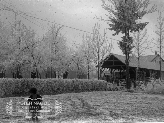 Šupa za les pozimi v ivju - Naglic017
