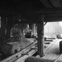 Žaganje lesa na Šnabelnovi žagi - Naglic023