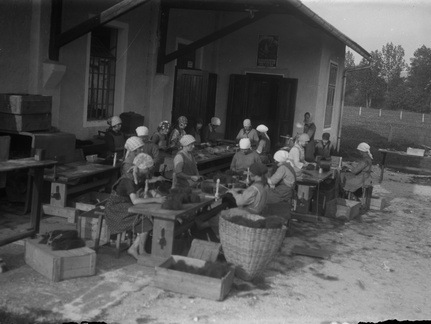 Ročna obdelava ščetin pod nadstreškom - Naglic036