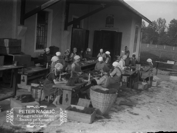 Ročna obdelava ščetin pod nadstreškom - Naglic036