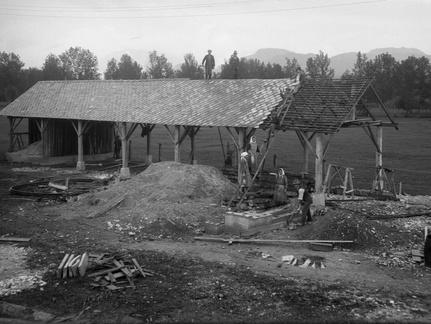 Prestavljanje šupe za les - Naglic041