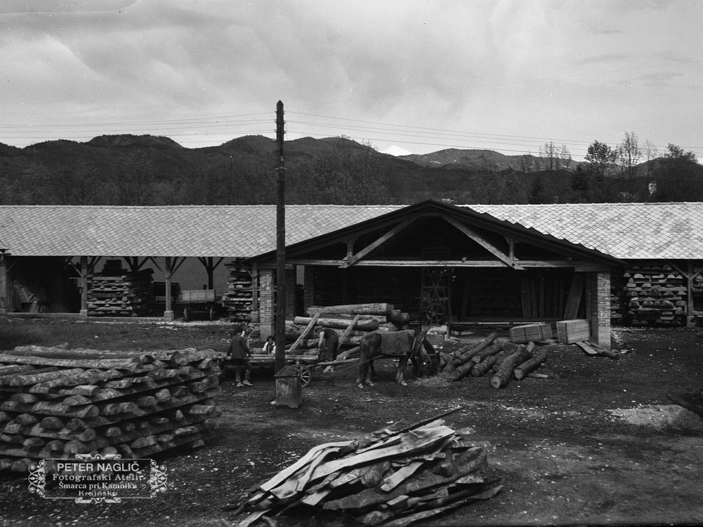 Prevzemanje lesa ob žagi - Naglic082