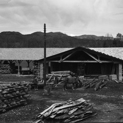 Prevzemanje lesa ob žagi - Naglic082