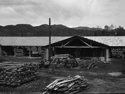 Prevzemanje lesa ob žagi - Naglic082