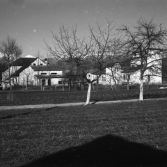 Panorama 2 Tovarna Triglav, pozimi 1929 - Naglic073