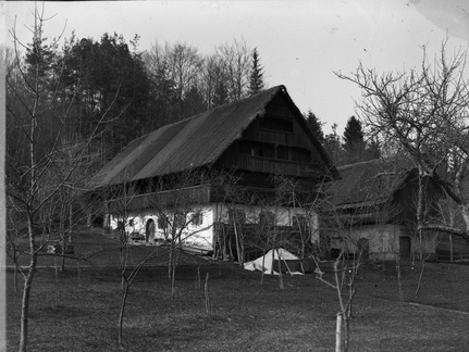 Podgorje, Rožmanova hiša - Naglic 1377