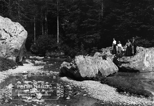 Izvir Kamniške Bistrice, Ivana Naglič, Albin Peterlin - Naglic1108
