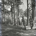 Vojaki v gozdu - 75  1056