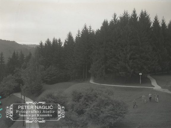 Gozdna pot pri gradu - 74  1046