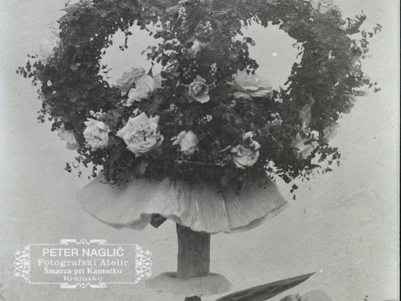 Šopek iz Črne Gore, ki ga je poslal bratranec Ljudevit Naglič, zaposlen kot dvorni tapetnik - 73  1035