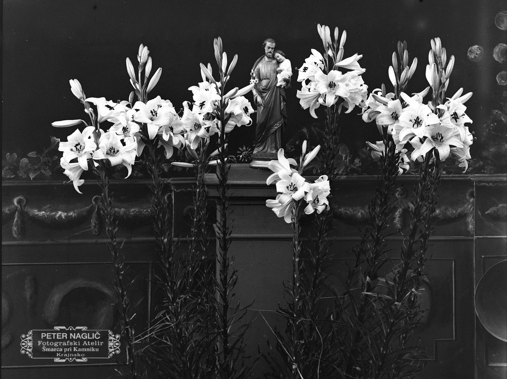 Kip sv. Jožefa med belimi lilijami - naglic964