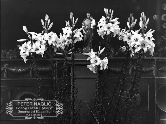 Kip sv. Jožefa med belimi lilijami - naglic964