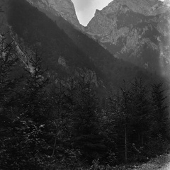 Kokrško sedlo iz Kamniške Bistrice - naglic907