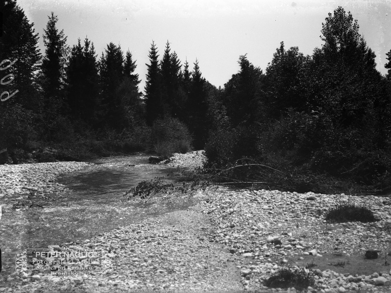 Ob bistriški strugi - naglic909