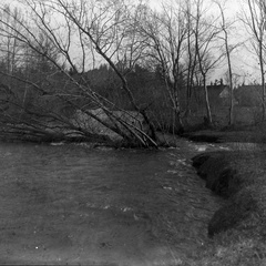 Ob povodnji Kamniške Bistrice - naglic884