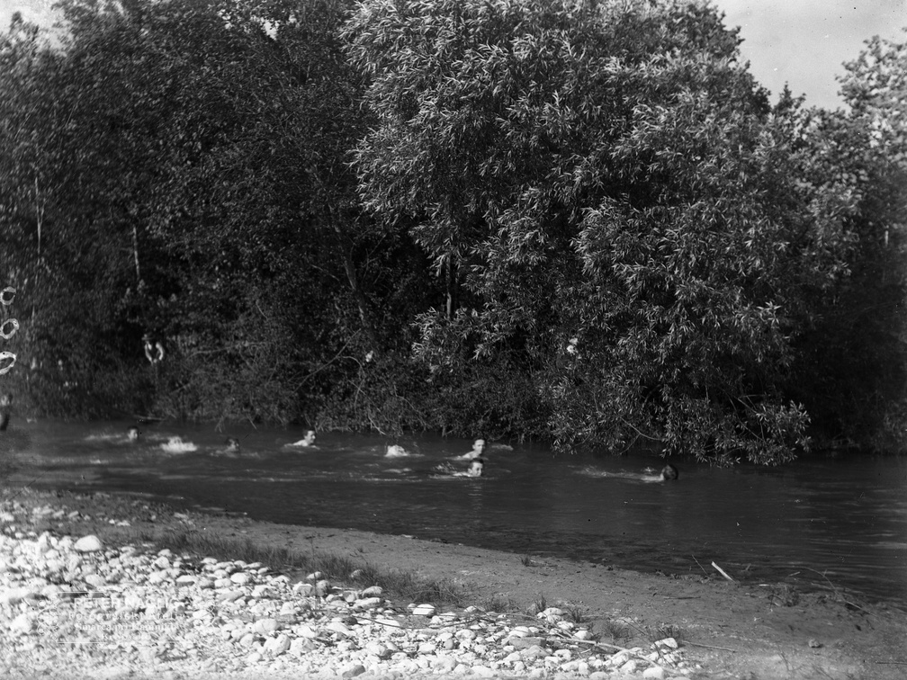 Plavanje v Kamniški Bistrici - naglic886