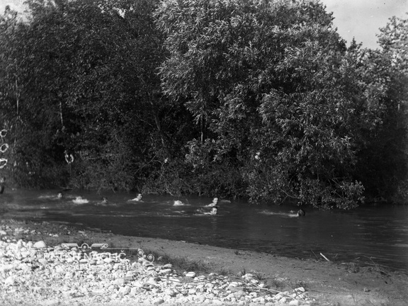 Plavanje v Kamniški Bistrici - naglic886