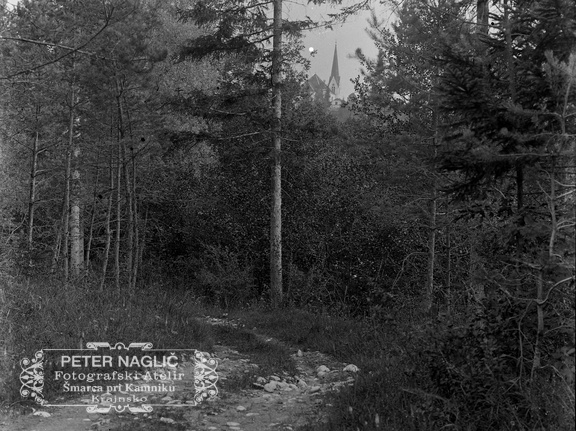 Nožiška gmajna, v daljavi Homec - naglic887