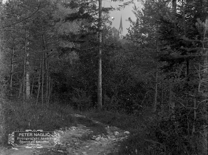 Nožiška gmajna, v daljavi Homec - naglic887