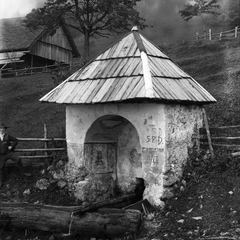 Znamenje z izvirom ob sv. Ambrožu - naglic878