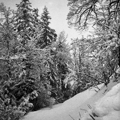 Velika noč na Homcu, 28.3.1937 - F 1937 1 1 003