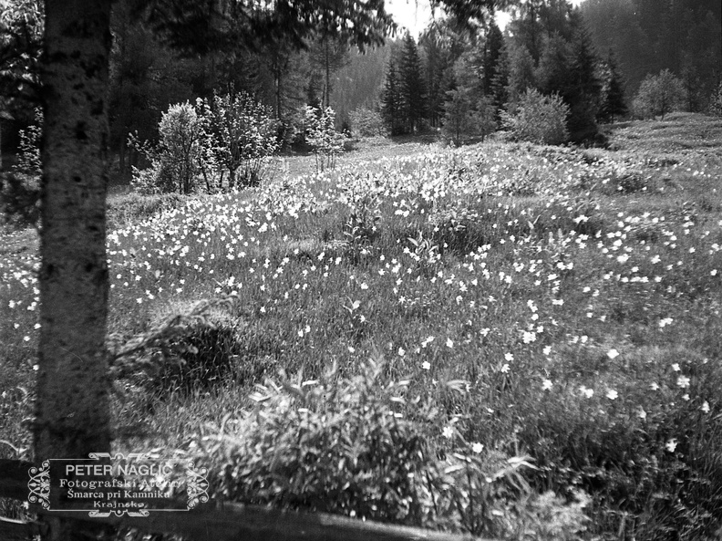 Izlet na Golico leta 1934 - F 1934 1 1 011