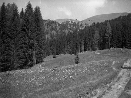 Izlet na Golico leta 1934 - F 1934 1 1 016